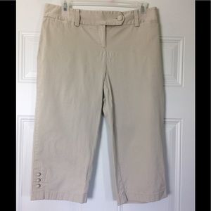 Ann Taylor Petites Capris